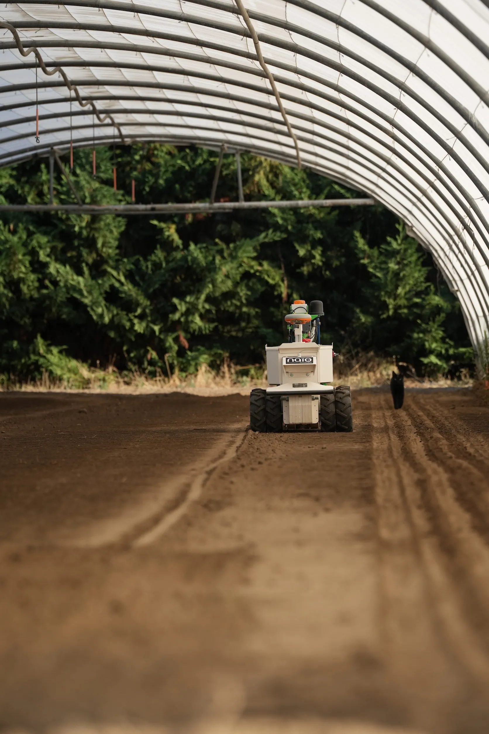 Naïo OZ: routine work in horticulture