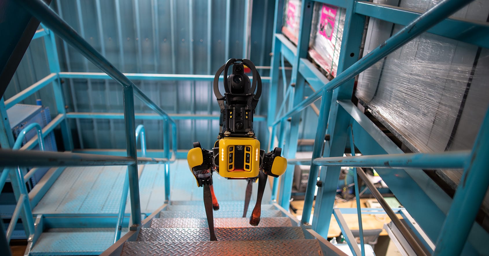 Could a robot walk your dog?